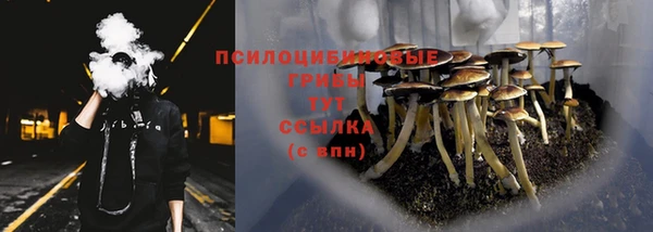 mix Алексин