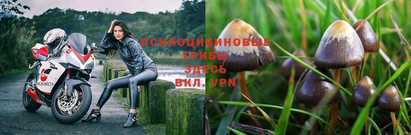 mix Алексин